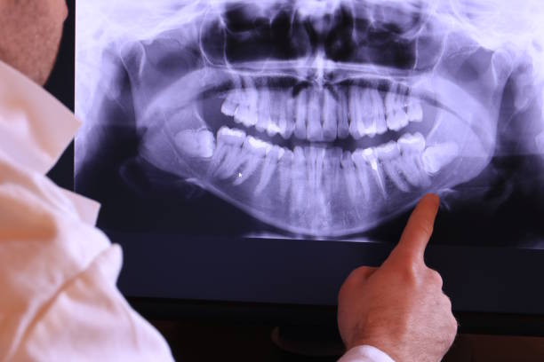 Best Weekend Emergency Dentist in Federal Y, WA