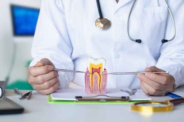 Best Emergency Tooth Extraction in Federal Y, WA